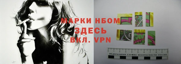 бошки Алексин