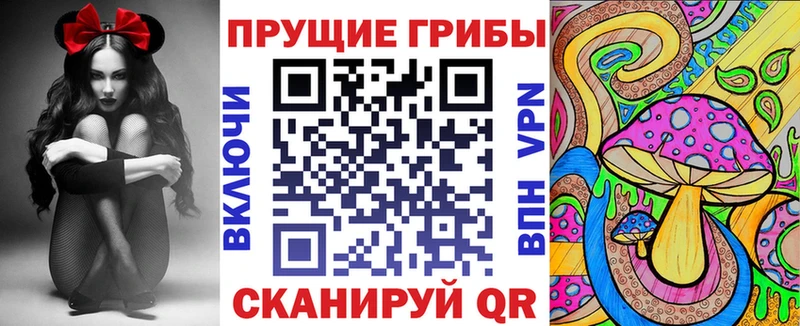 Псилоцибиновые грибы GOLDEN TEACHER  где купить наркоту  кракен зеркало  Учалы 